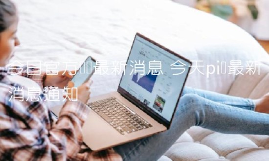 派币2024年价格预测及官方动态解析