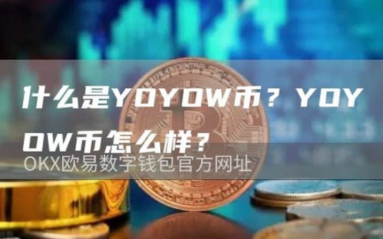 YOYOW币核心价值与未来前景分析