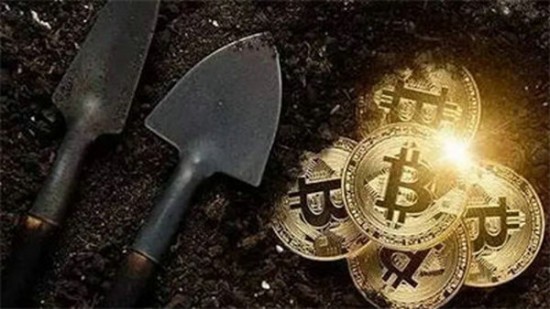 SHIB交易所操作指南 新手教程详解