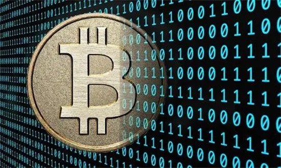 Worldcoin官网中文版访问指南及平台特性分析