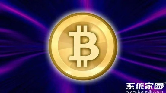 USDT钱包地址查找与使用指南