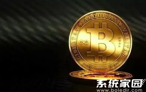 维卡币2025年最新动态深度剖析