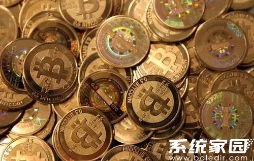 GoPay支付平台提现操作步骤详解