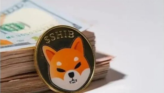 柴犬币2025年价值走势深度解析