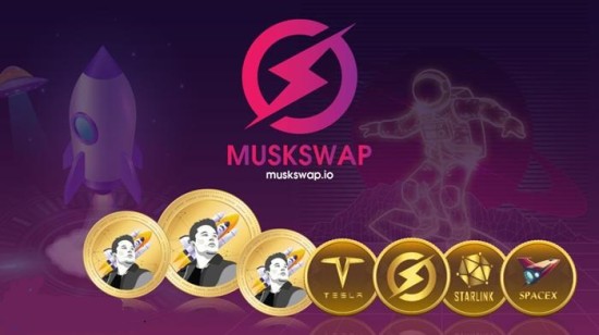 马斯克币未来行情与社区动态解析