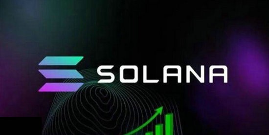 SOL币2025年价格趋势深度解析