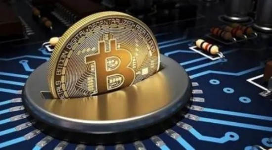 维卡币2025年8月官方动向深度分析