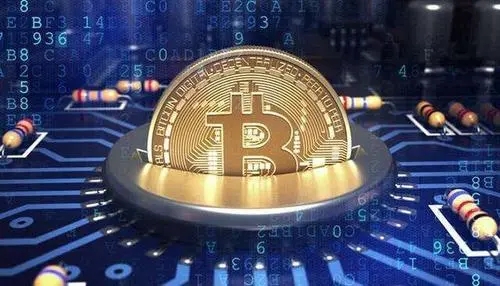 维卡币2025年6月上市前景深度解析