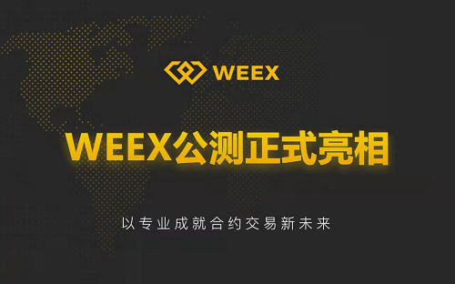 WEEX交易所安全解析与风险防范指南