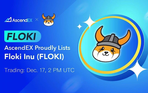 Floki币2025年能否实现百倍增长