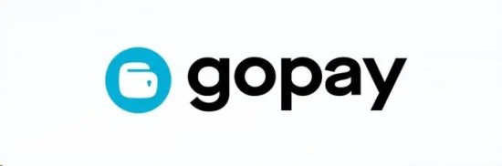 Gopay钱包充值方法与使用步骤详解