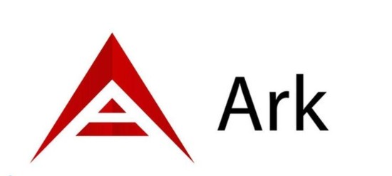 ARK币投资价值与未来前景深度解析