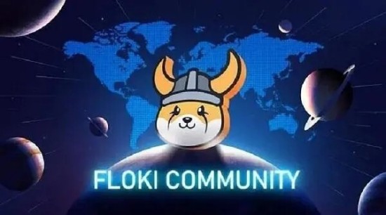 FLOKI币价格走势分析触及1美元可能性评估
