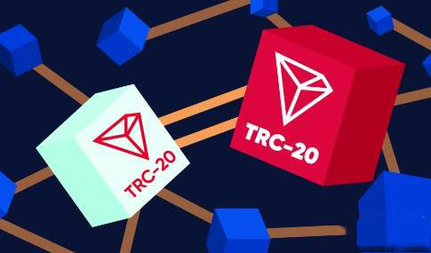 TRC20与ERC20版USDT核心差异解析
