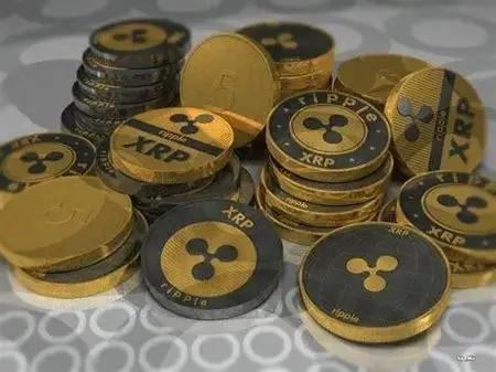 波币钱包功能解析与操作指南