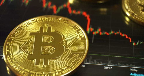 SLX币未来价值与前景解析  