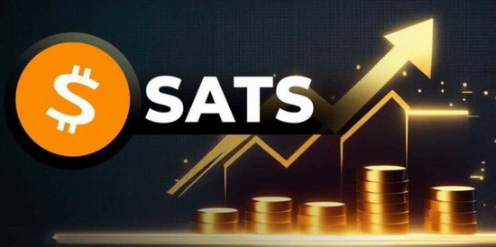 SATS币投资价值与未来前景分析