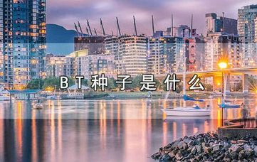 BT种子原理与功能全解析