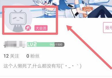 哔哩哔哩自动续费关闭操作指南