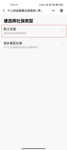 社保记录展示示意图