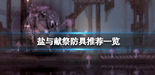 盐与献祭防具饰品搭配全攻略