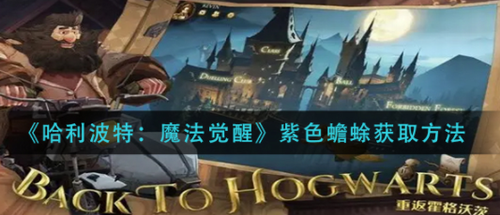 哈利波特魔法觉醒紫色蟾蜍获取