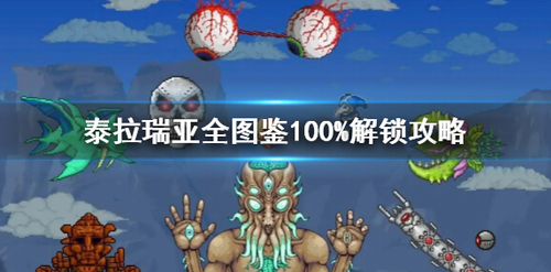 泰拉瑞亚全图鉴100%解锁终极