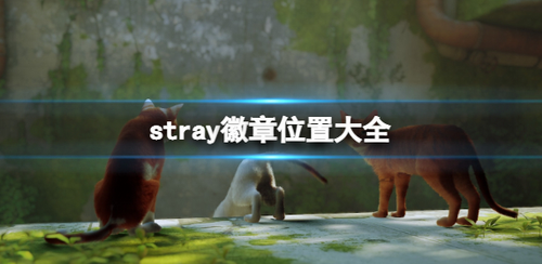 迷失stray徽章位置全收集