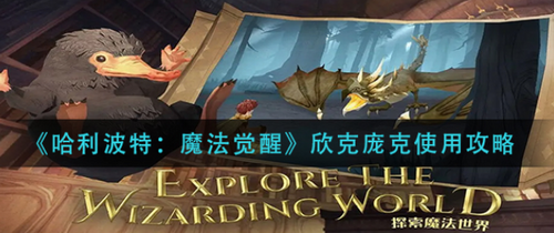 哈利波特魔法觉醒欣克庞克实战技巧