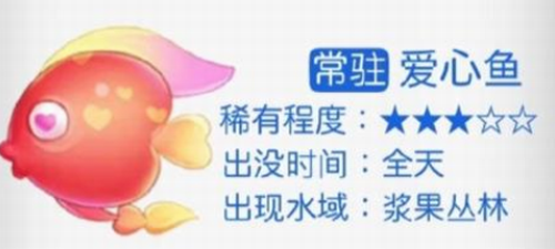 爱心鱼特写图鉴