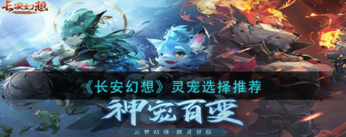 长安幻想灵宠培养进阶指南
