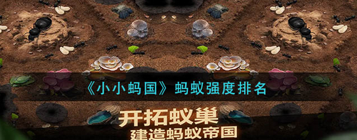 小小蚂国蚂蚁战力排行与培养指南