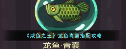 咸鱼之王龙鱼青囊最佳搭配方案