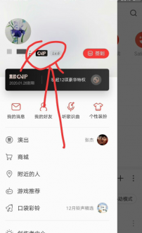 会员标识位置