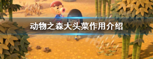 动物森友会大头菜功能解析与操作技巧