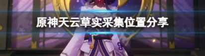 原神天云草实全地图采集点位解析