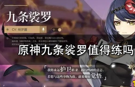 原神九条裟罗圣遗物武器搭配全解析