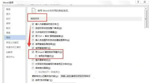 Word高级设置界面示意图