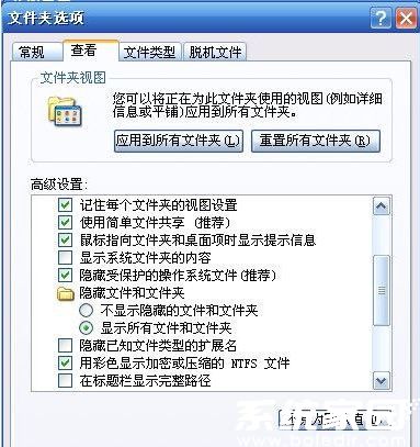 Windows文件夹选项设置示意图
