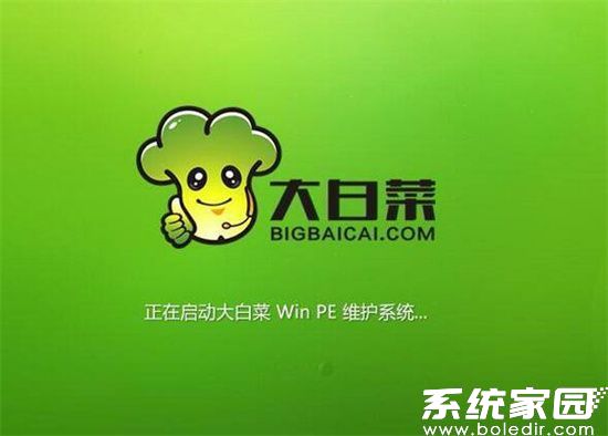 大白菜U盘启动工具界面展示