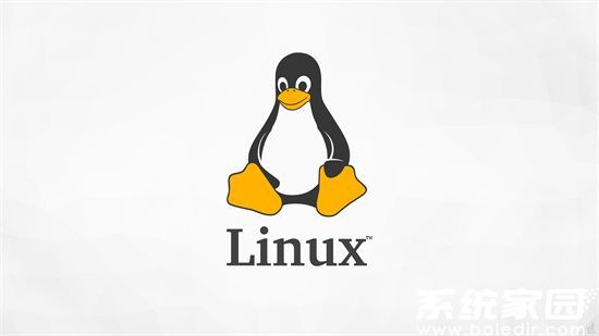 Linux与Windows系统特性对比