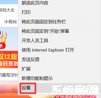 浏览器密码设置界面示意图
