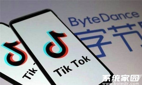 TikTok订阅功能界面示意图