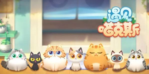 遇见喵克斯生小猫技巧与猫猫培育