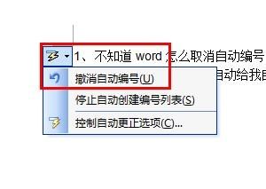 Word关闭自动编号示意图