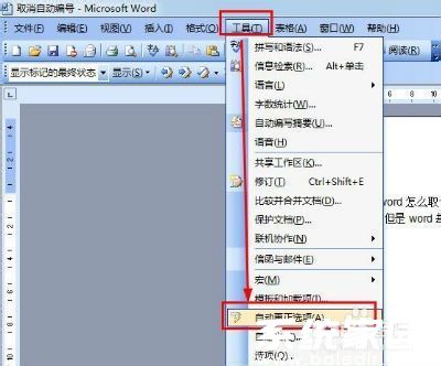 Word选项设置界面
