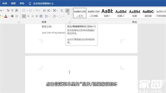 Word显示分页符操作图示