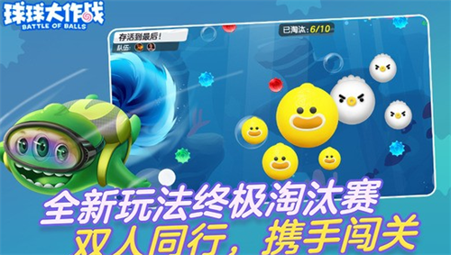 球球大作战2023兑换码领取与使用指南
