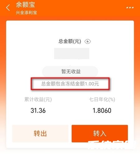 支付宝余额冻结查询界面示意图