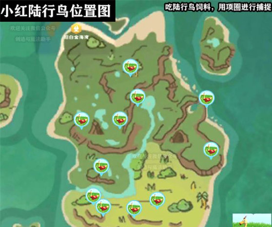 创造与魔法小红陆行鸟刷新位置详解